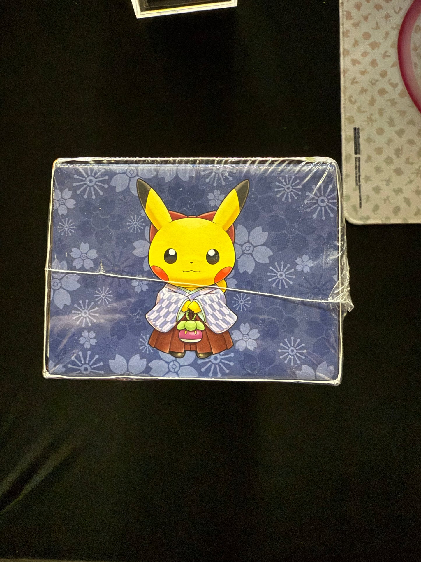 Pokemon Center DX Poncho Box Factory Sealed
